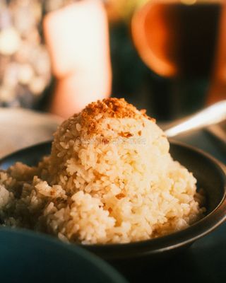 Musang by null Musang by null