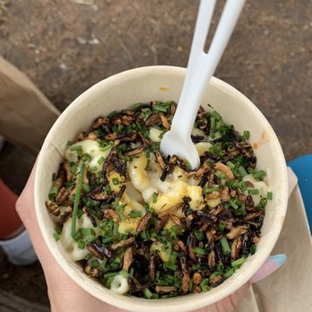 Dad's Luncheonette - Mac and Cheese! - New American Near Me - Half Moon Bay, California Dad's Luncheonette - Mac and Cheese! - New American Near Me - Half Moon Bay, California