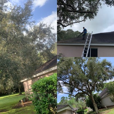 Storm Clean-Up & Preparation - Ready for the Storm? Let Arbor Master Handle the Clean-Up & Prep 🌪️💪
Storms can strike without warning, but with Arbor Master Tree & Landscape, you’ll be prepared. Our Storm Clean-Up & Preparation services ensure your property is safe and protected before, during, and after the storm. From tree pruning and removal to debris clearing, we’ve got the tools and expertise to keep your landscape secure.