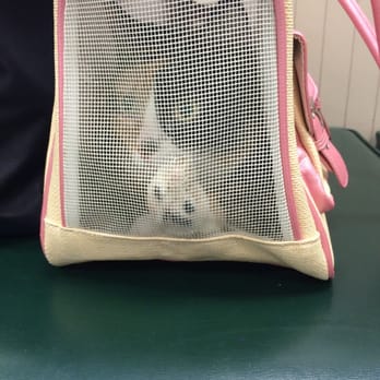 Heights Animal Hospital - Veterinarians Near Me - Queens County, New York