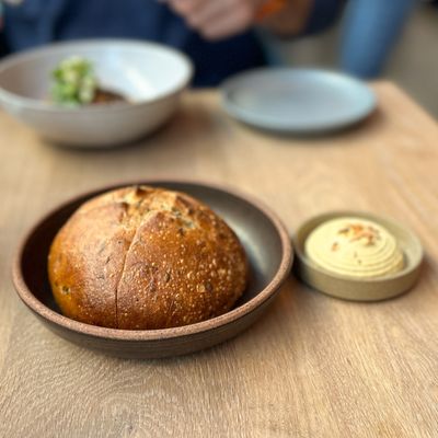 Oyster Oyster by null