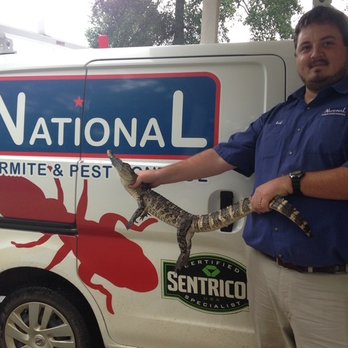National Termite & Pest Control - Pest control technician holding a reptile in front of National Termite & Pest Control service vehicle - Pest Control Near Me - Cordele, Georgia National Termite & Pest Control - Pest control technician holding a reptile in front of National Termite & Pest Control service vehicle - Pest Control Near Me - Cordele, Georgia