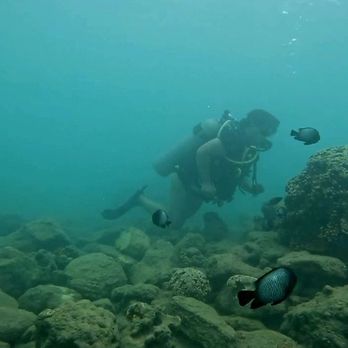 Scuba Lounge Hawaii - Scuba Diving Near Me Scuba Lounge Hawaii - Scuba Diving Near Me