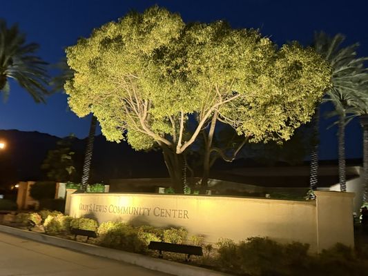 Central Park by null