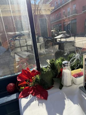 Twisted Waffles Nola by null