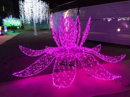 Aurora Winter Festival by null