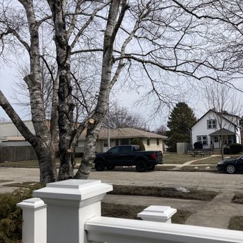 Dennis & Son Tree Service - Tree Services Near Me - Milwaukee, Wisconsin
