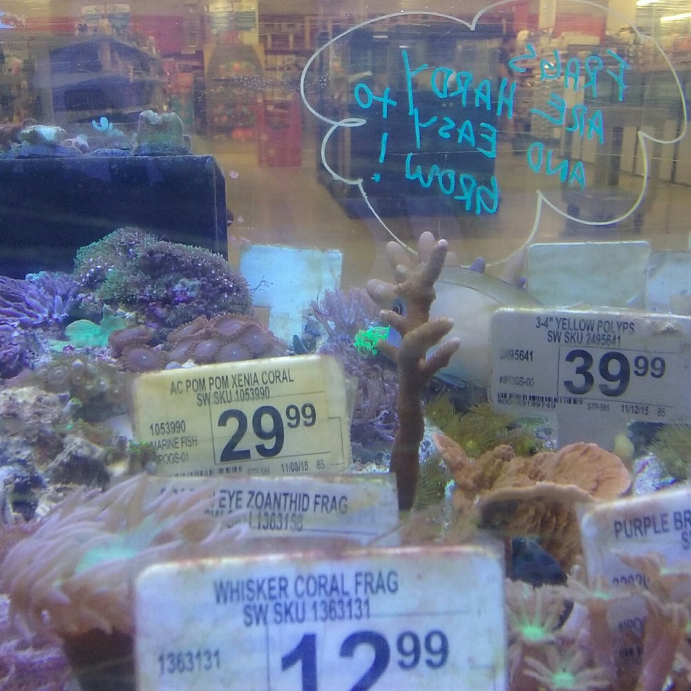 Petco - Pet Stores Near Me - Pasadena, California