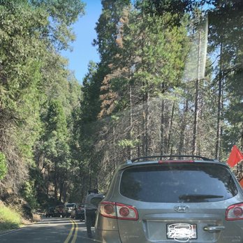 General Sherman Tree - Traffic going back home - Hiking Near Me - Sequoia National Park, California General Sherman Tree - Traffic going back home - Hiking Near Me - Sequoia National Park, California
