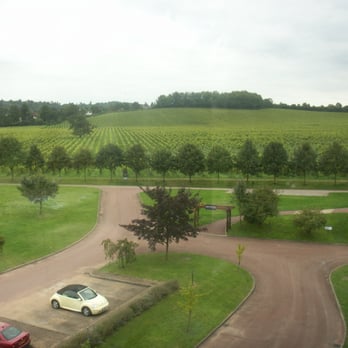Denbies Wine Estate - Wineries Near Me - Dorking, SRY
