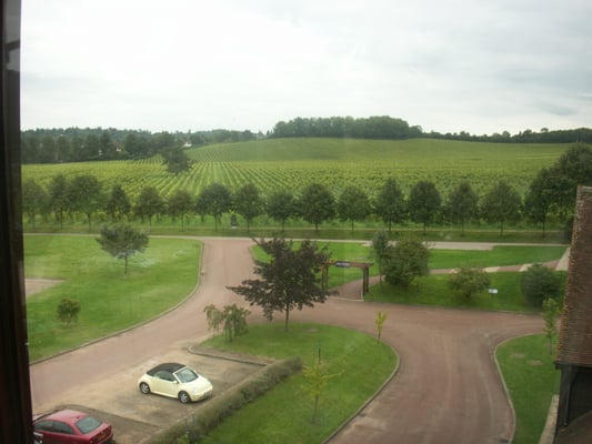 Denbies Wine Estate by null