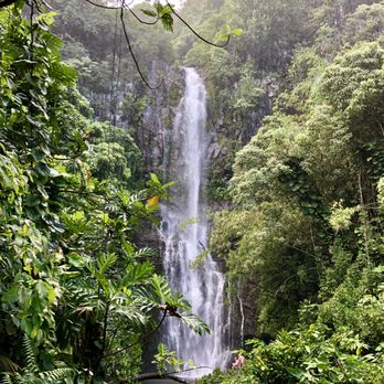 Dynamic Tour Maui - Waterfall - Bus Tours Near Me - Wailuku, Hawaii