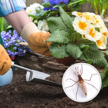 Terminix - Pest Control Near Me - New Berlin, Wisconsin Terminix - Pest Control Near Me - New Berlin, Wisconsin