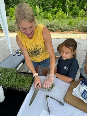 The Farmers Market at Brock's Gap by null