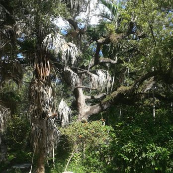 All America Park - Parks Near Me - South Miami, Florida All America Park - Parks Near Me - South Miami, Florida