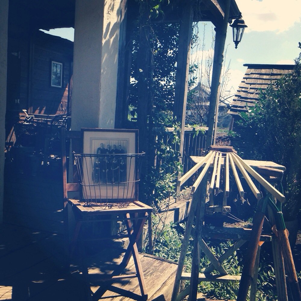 女の周辺 旅先で見つけた、ダックス🥰 ここ、台湾なんだけど、 日本にも