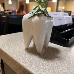 First Choice Dental - Planter