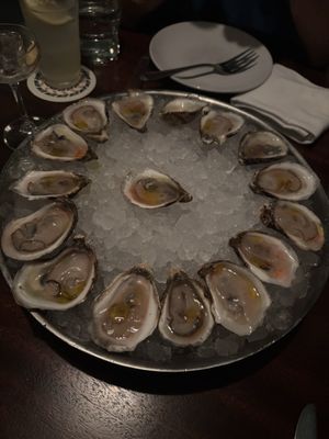 ViceVersa Miami by null