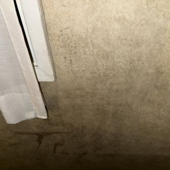 The Rosedale Inn - Black mold - Hotels Near Me - Pacific Grove, California The Rosedale Inn - Black mold - Hotels Near Me - Pacific Grove, California