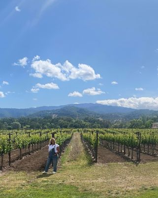 Napa Valley Bike Tours & Rentals by null