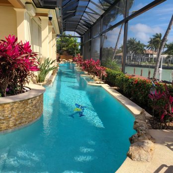 Dolphin Pools - Pool Cleaners Near Me - Marco Island, Florida Dolphin Pools - Pool Cleaners Near Me - Marco Island, Florida