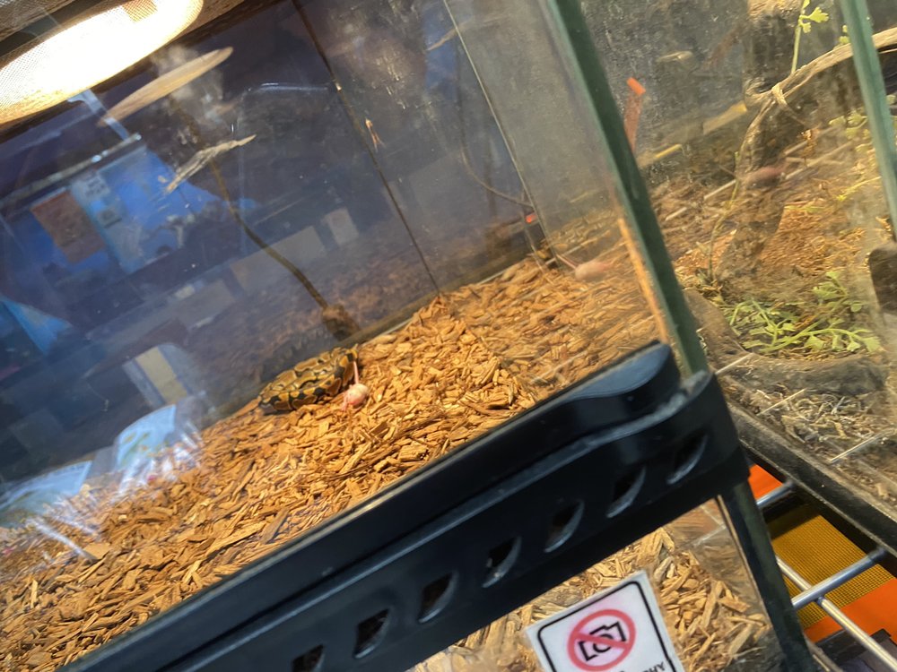 PAPA JIM’S TROPICAL FISH 14 Photos & 22 Reviews 5636 S Flores St