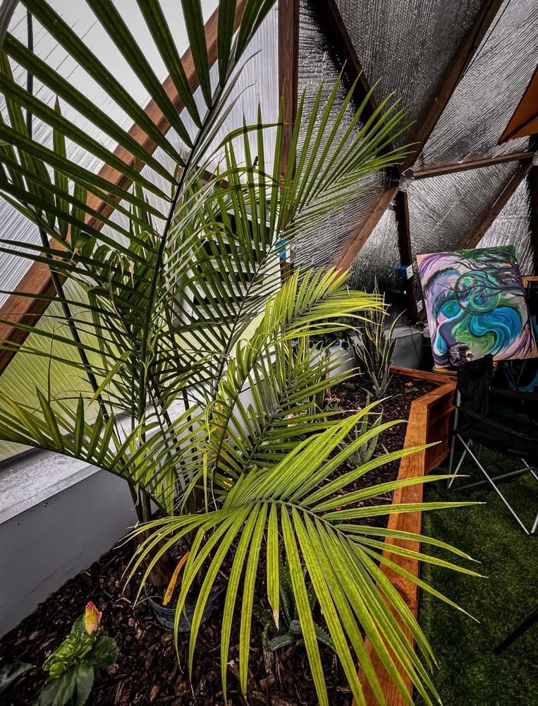 The Prolific Oxygen Dome - social services organization in Cleveland, OH