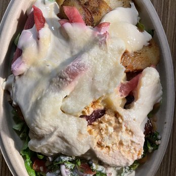 The Mexican Camel - Build your own salad bowl - Mediterranean Near Me - Orlando, Florida The Mexican Camel - Build your own salad bowl - Mediterranean Near Me - Orlando, Florida