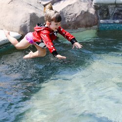 Sarah Wuertz - Infant Swimming Resource