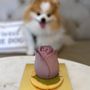 Photo of Dogue