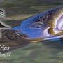 Photo of Jocassee Outfitters