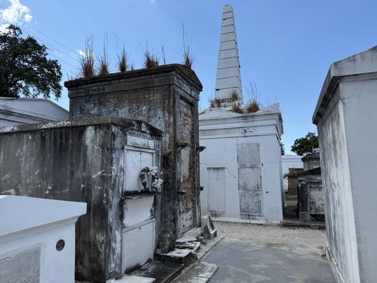 St. Louis Cemetery No. 1 Official Tour by null