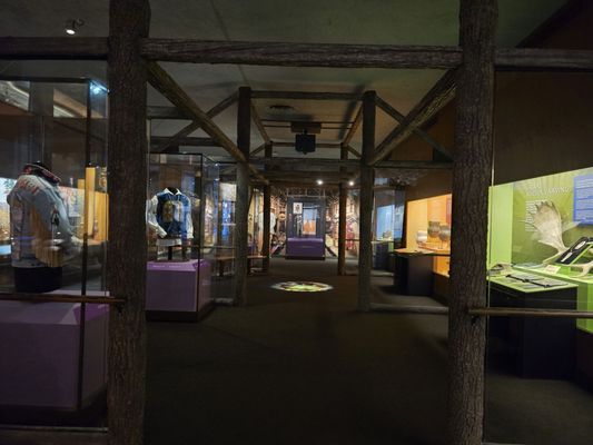 RMSC (Rochester Museum & Science Center) by null