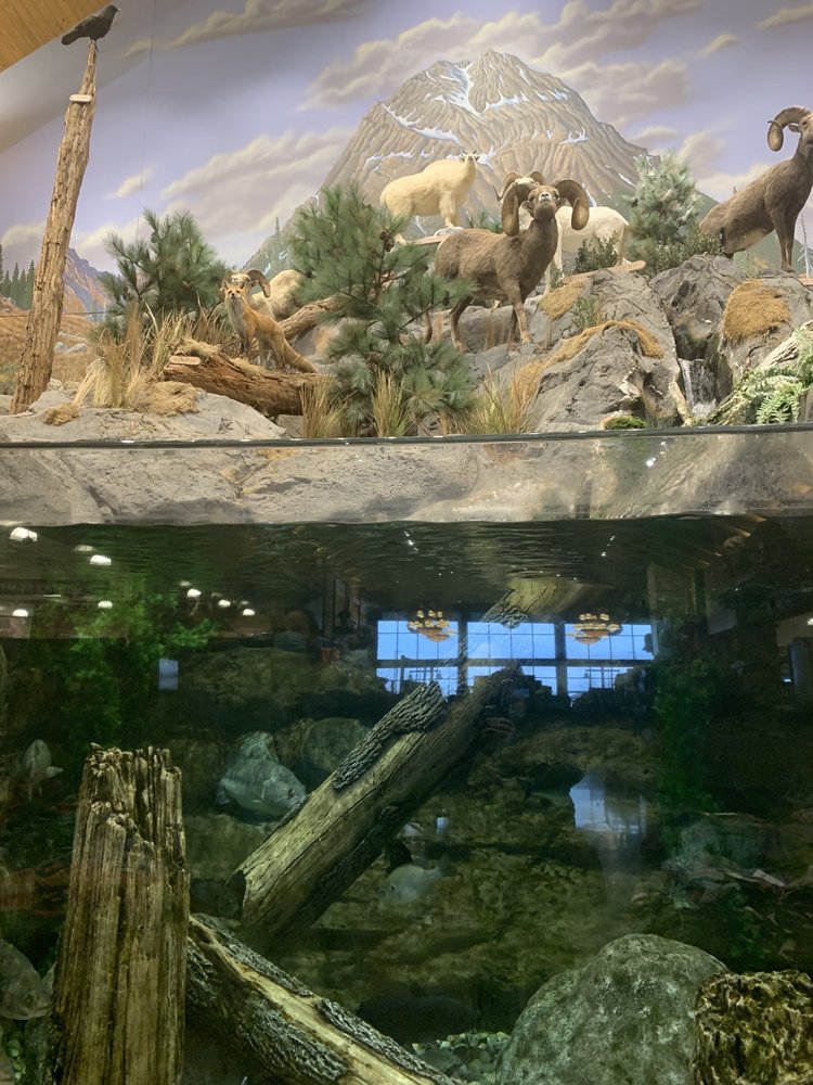 CABELA’S Updated September 2024 76 Photos & 39 Reviews 1510