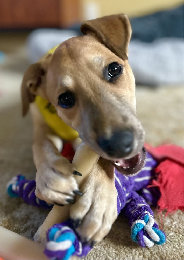 PET SUPPLY Updated August 2024 54 Photos & 111 Reviews 21425