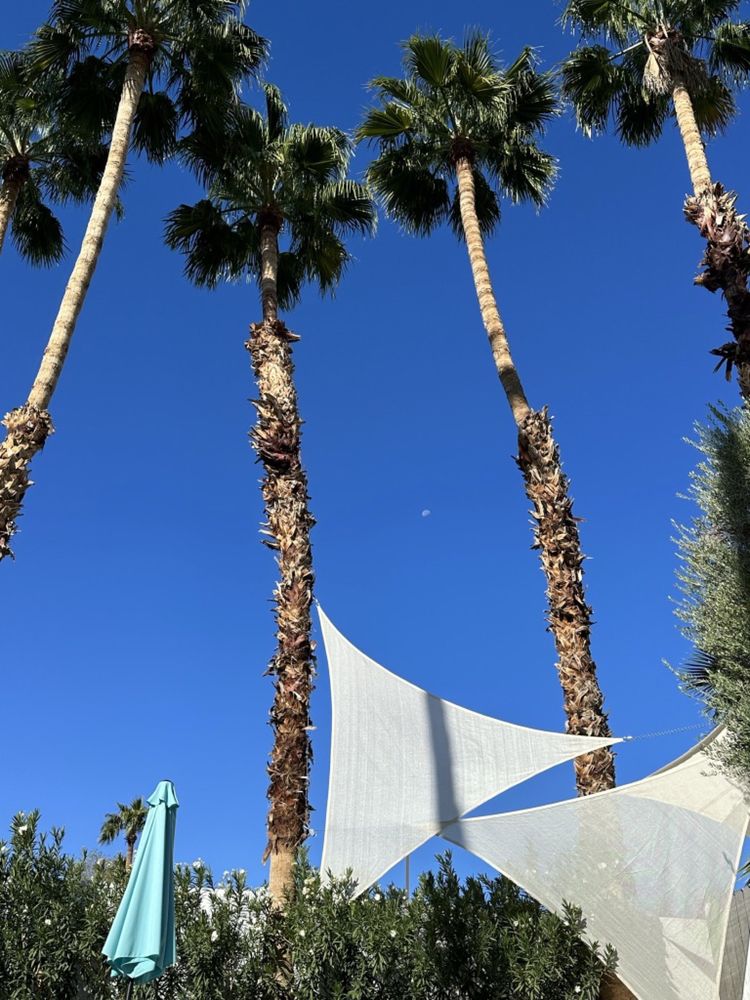 C'est la vie Las Vegas