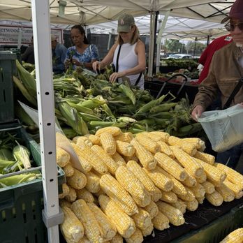 Pasadena Farmers Market - So much beautiful corn! - Farmers Market Near Me - Pasadena, California Pasadena Farmers Market - So much beautiful corn! - Farmers Market Near Me - Pasadena, California