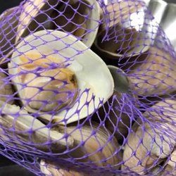 The Crazy Clam