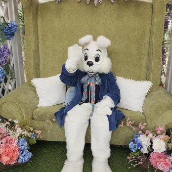 Cherry Hill Programs - Me waving as the Easter Bunny! - Event Photography Near Me - Marlton, New Jersey Cherry Hill Programs - Me waving as the Easter Bunny! - Event Photography Near Me - Marlton, New Jersey