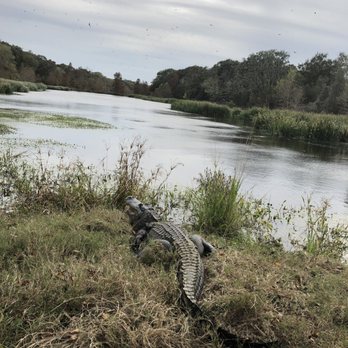 Brazos Bend State Park - Gator trail - Parks Near Me - Needville, Texas