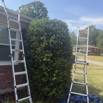 Joes Tree Trimming & Property Maintenance - Tree Services Near Me Joes Tree Trimming & Property Maintenance - Tree Services Near Me