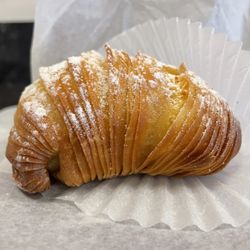 Lotito's Deli & Bakery - Sfogliatelle