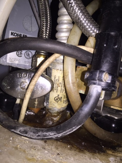 Slide of Splash Plumber