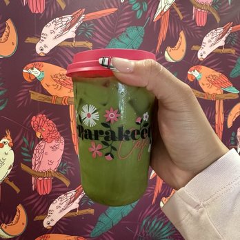 Parakeet Café - Coffee & Tea Near Me - Coronado, California Parakeet Café - Coffee & Tea Near Me - Coronado, California