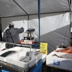 Wochenmarkt Klagesmarkt - Fisch ... heute Lachs ...