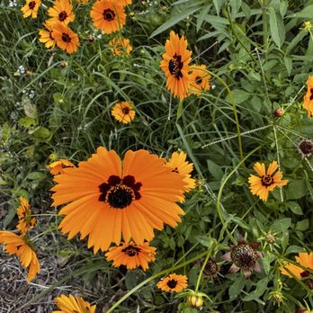 Memorial Park - Parks Near Me - Round Rock, Texas
