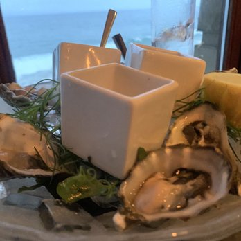 Splashes Restaurant - Oysters from somewhere. ;). Delicious. - New American Near Me - Laguna Beach, California Splashes Restaurant - Oysters from somewhere. ;). Delicious. - New American Near Me - Laguna Beach, California
