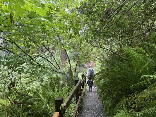 Prehistoric Gardens by null