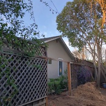 Skyline Tree Experts - The stump being removed with a stump grinder - Tree Services Near Me - Campbell, California Skyline Tree Experts - The stump being removed with a stump grinder - Tree Services Near Me - Campbell, California