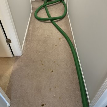 Totally Clean Carpet and Upholstery - Dog accident - Carpet Cleaning Near Me - Wauconda, Illinois Totally Clean Carpet and Upholstery - Dog accident - Carpet Cleaning Near Me - Wauconda, Illinois